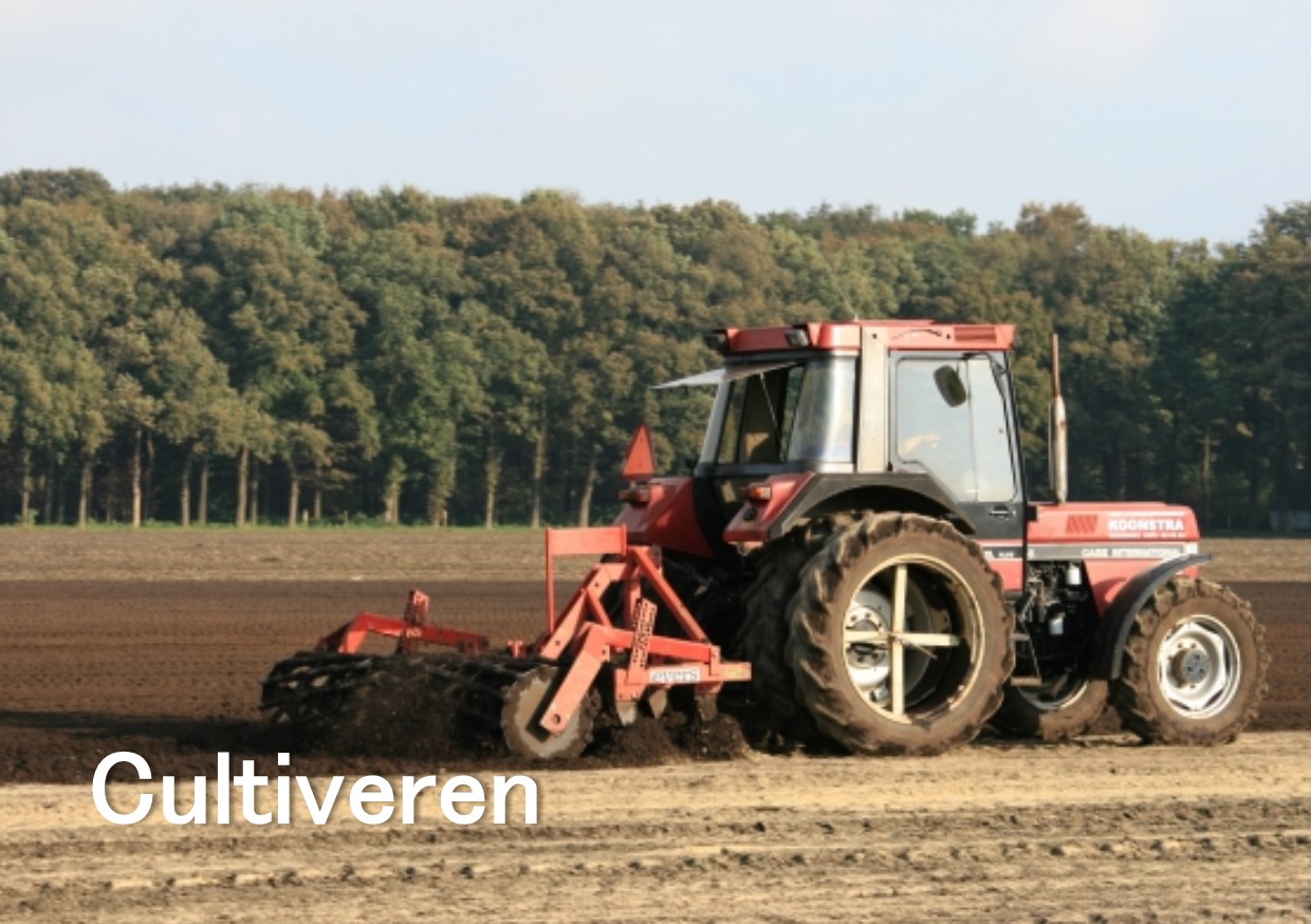 cultiveren