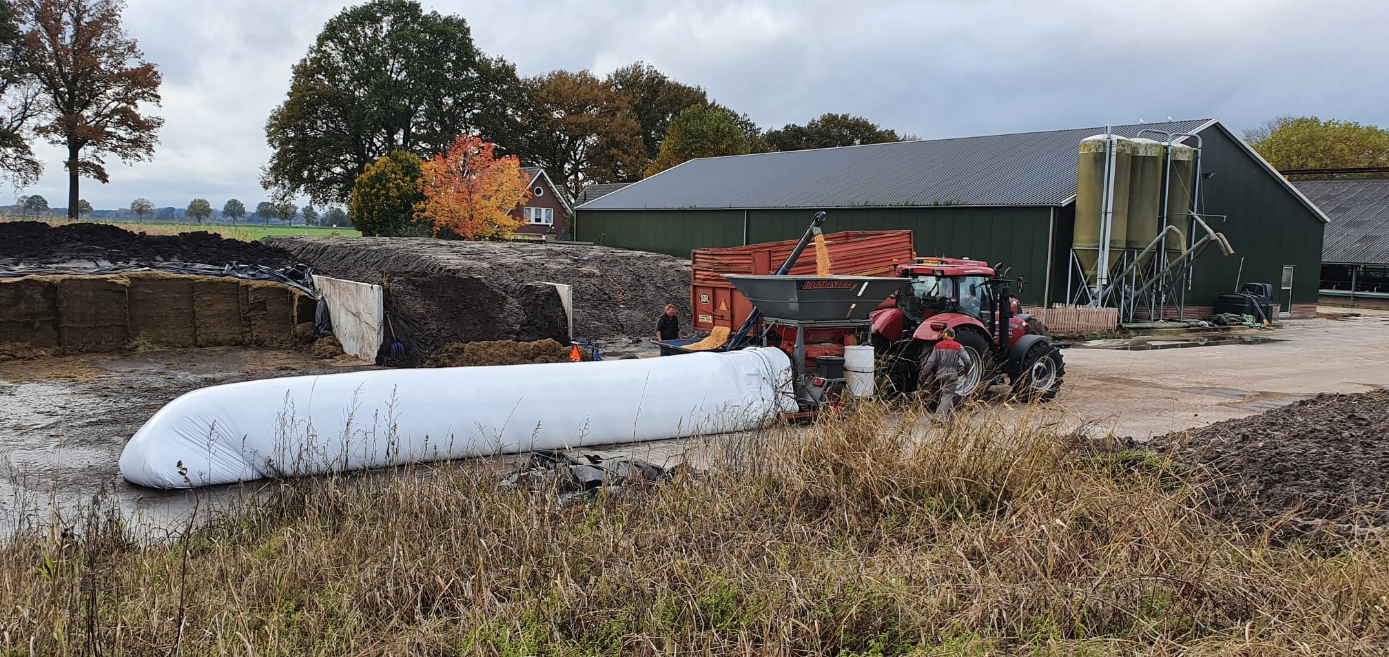Koonstra Pletten en inslurven mais krachtvoer