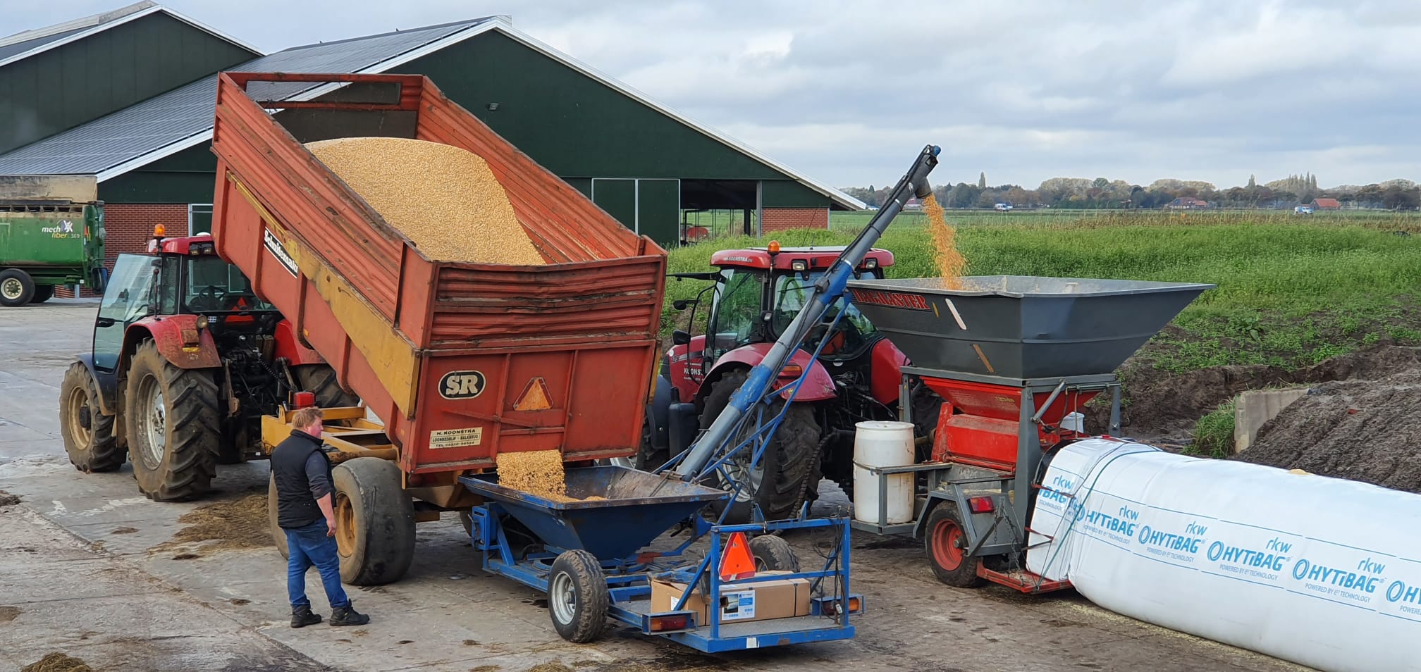 Mais 🌽 pletten en inslurven, krachtvoer van eigen land🐄