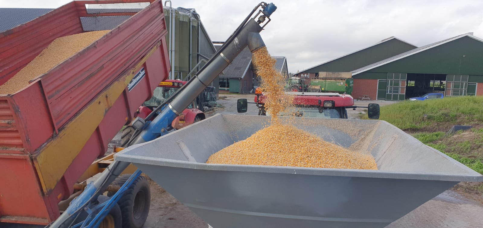 Koonstra Pletten en inslurven mais krachtvoer