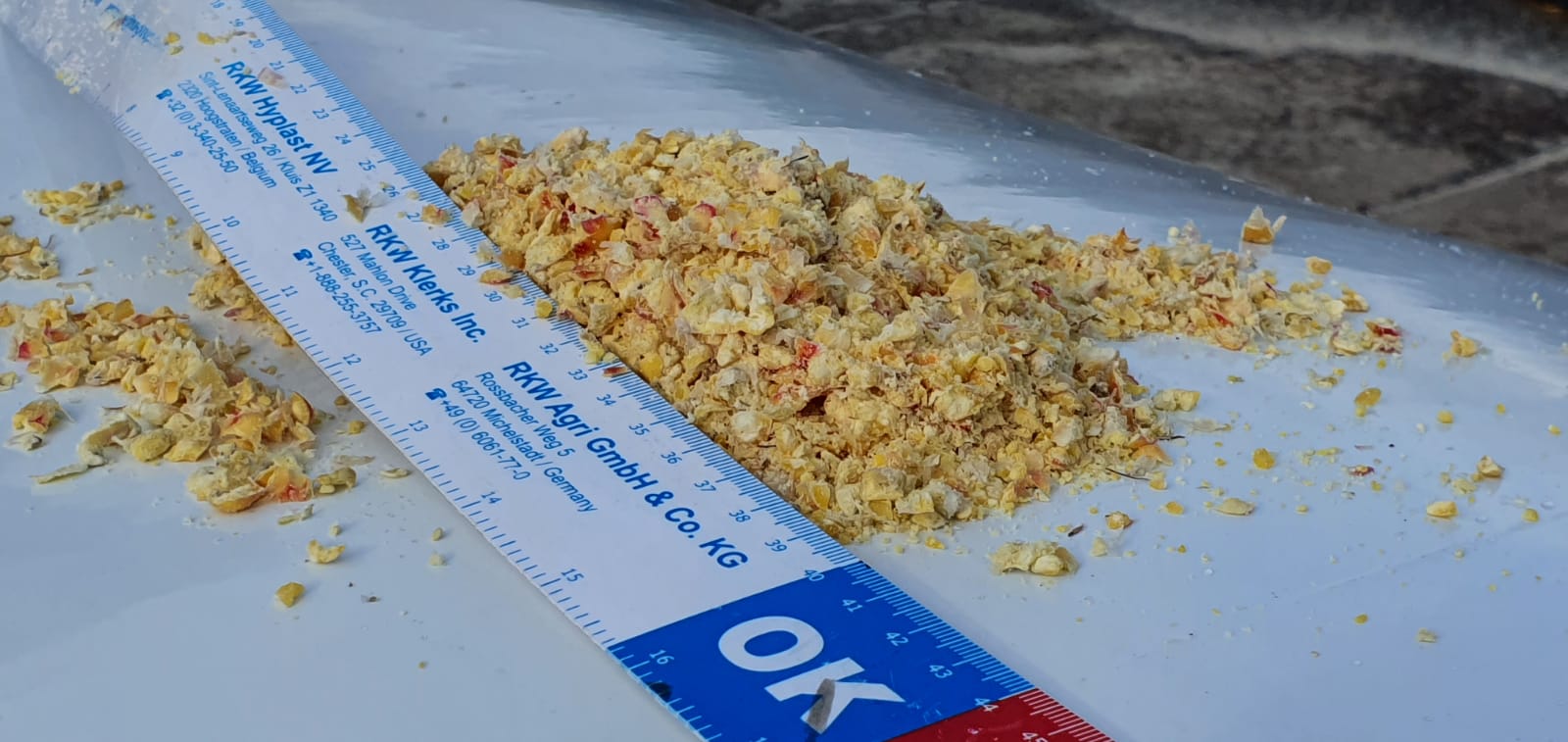 Koonstra Pletten en inslurven mais krachtvoer