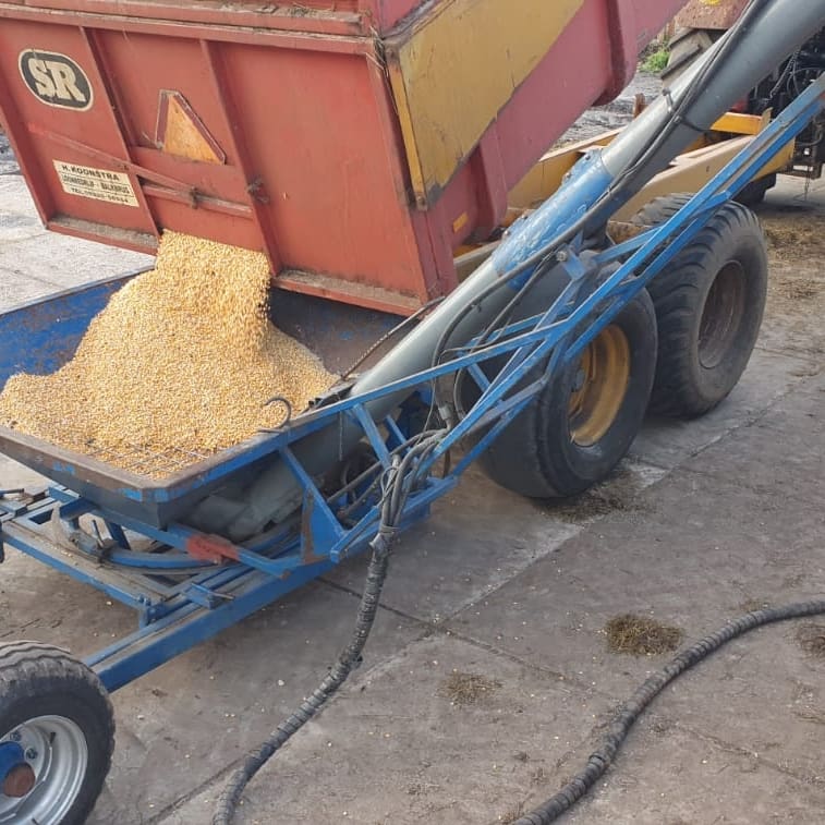 Koonstra Pletten en inslurven mais krachtvoer