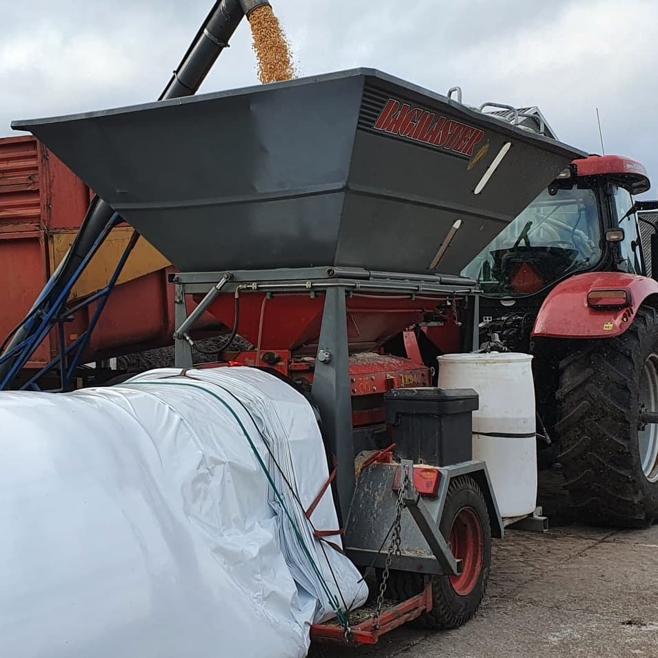 Mais 🌽 pletten en inslurven, krachtvoer van eigen land🐄 