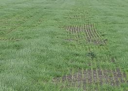 Loonbedrijf graszaaien resultaat Loonbedrijf graszaaien resultaat