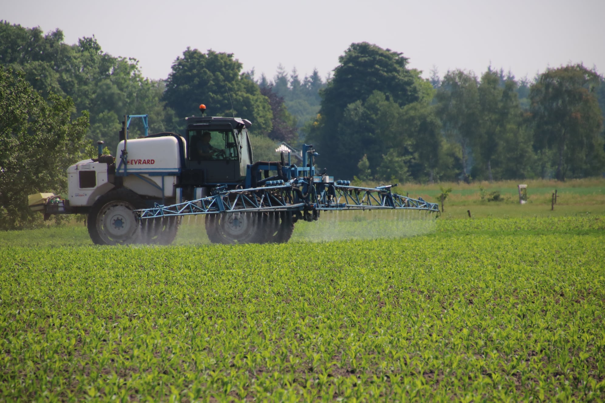 Loonbedrijf Koonstra gewasbescherming in mais en grasland