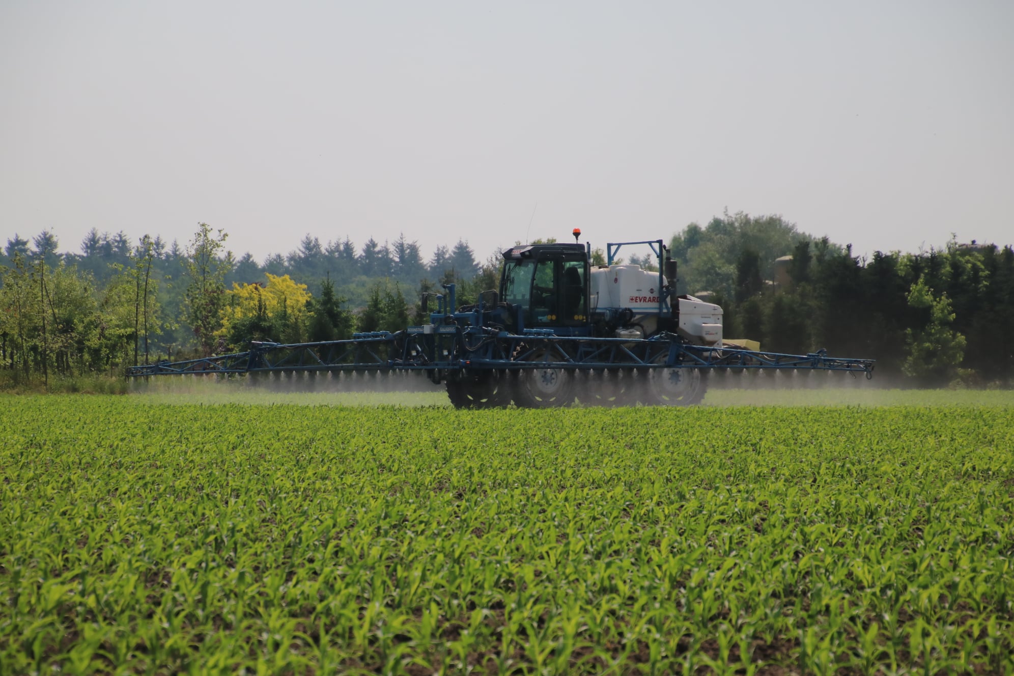 Gewasbescherming is van groot belang 