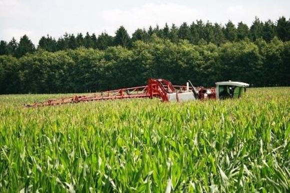 Koonstra, schimmelbestrijding in mais