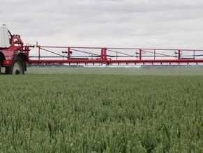 Graan gewasbescherming