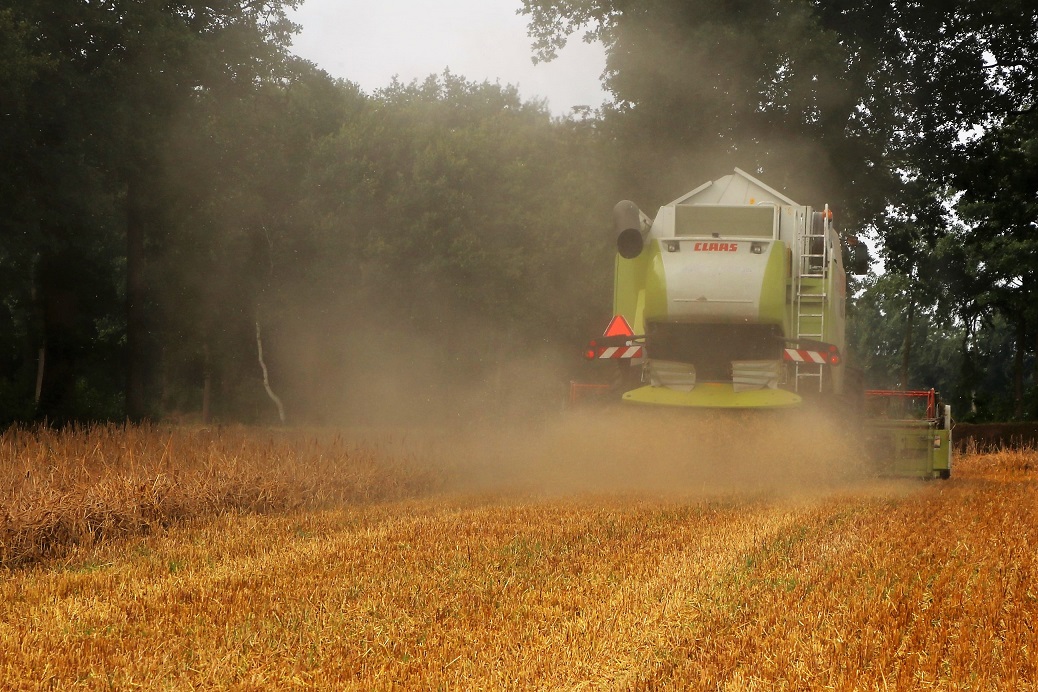 IMG 2971.klein formaat