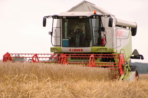 triticale dorsen in combinatie met megabagging 1