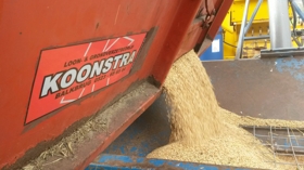 Triticale dorsen in combinatie met megabagging 