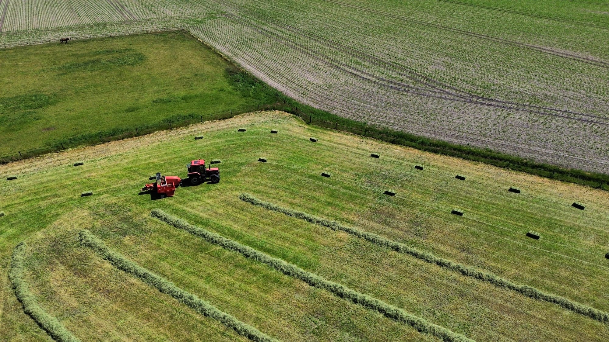 Mooi weer om te hooien