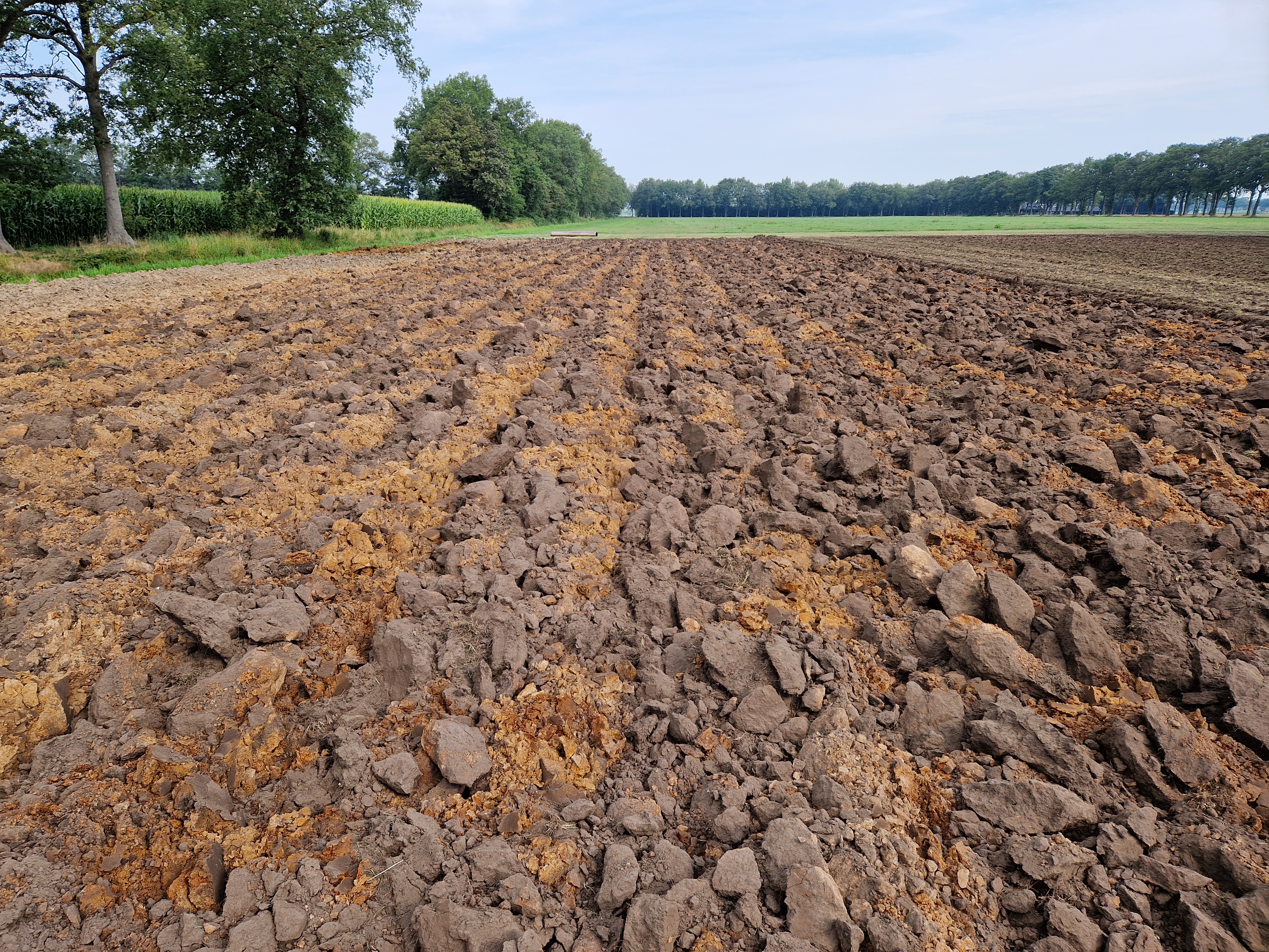 Koonstra, diepploeg 2-scharig of 1-scharig Koonstra, diepploeg 2-scharig of 1-scharig