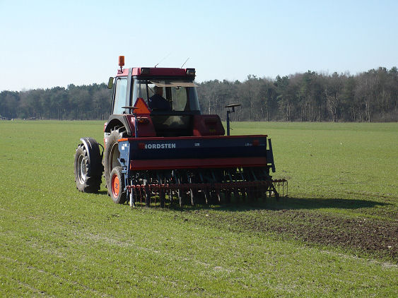 Grasland bijzaaien 