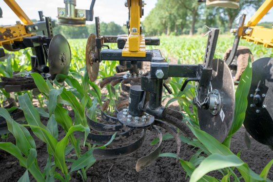 Koonstra camera gestuurd schoffelen i.c.m. grasonderzaaien