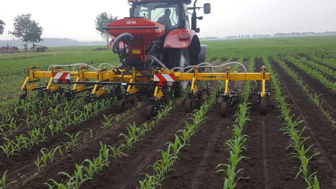 Koonstra grasonderzaaien in mais met roterende schoffel Koonstra grasonderzaaien in mais met roterende schoffel