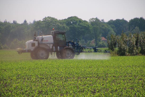 maisspuiten gewasbescherming