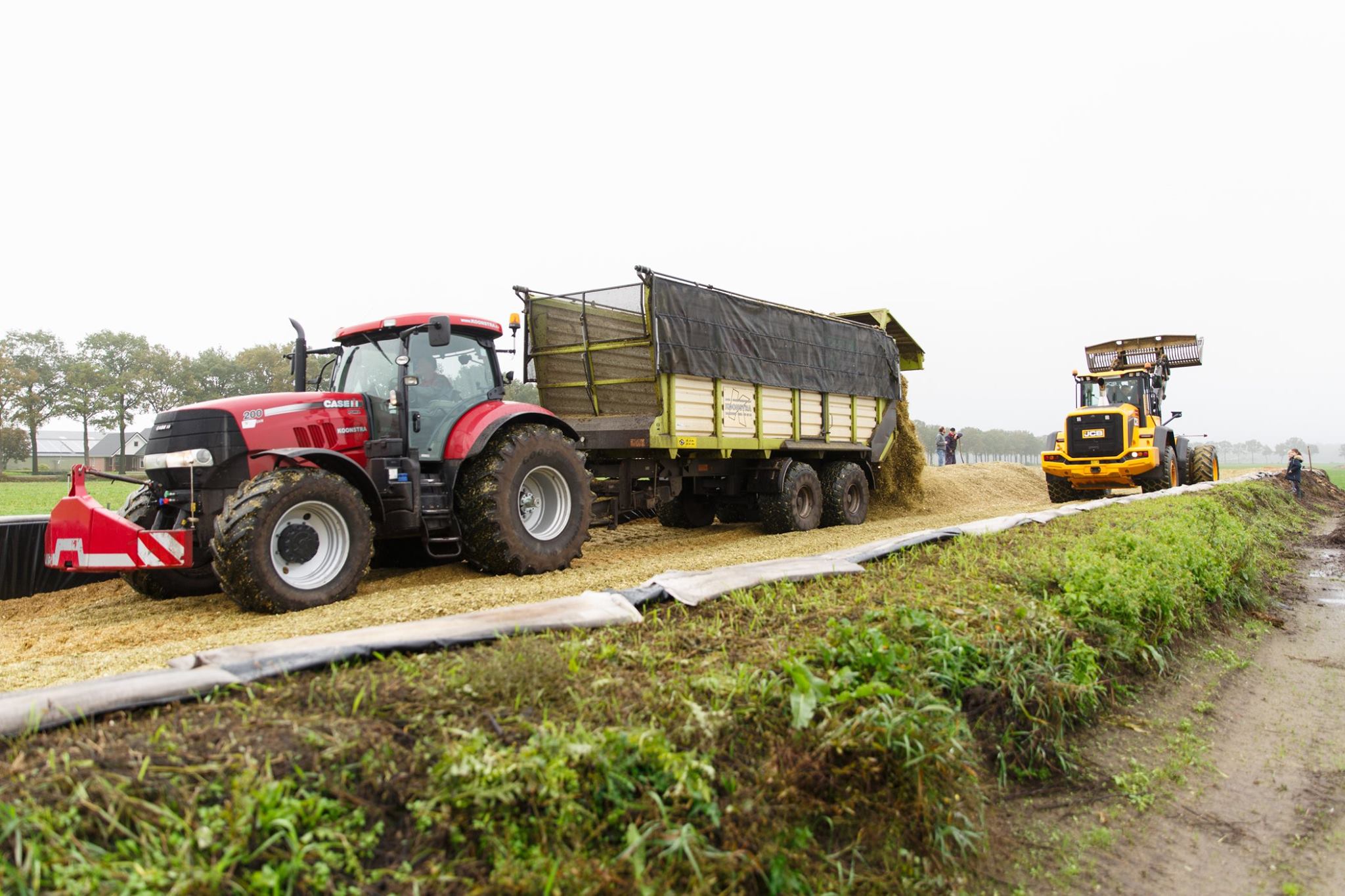 Maishakselen op rups