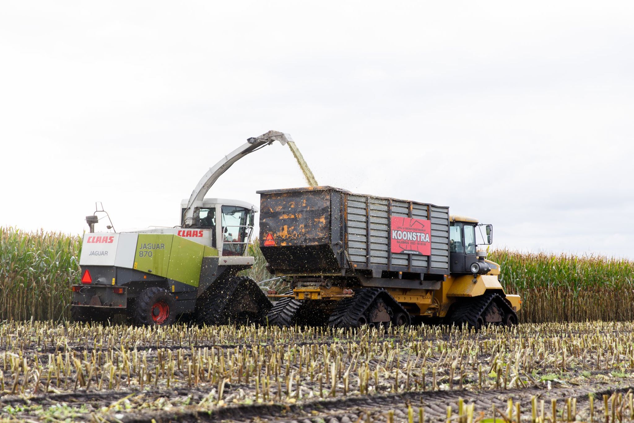 Maishakselen met de rups hakselaar en rups Terra Gator