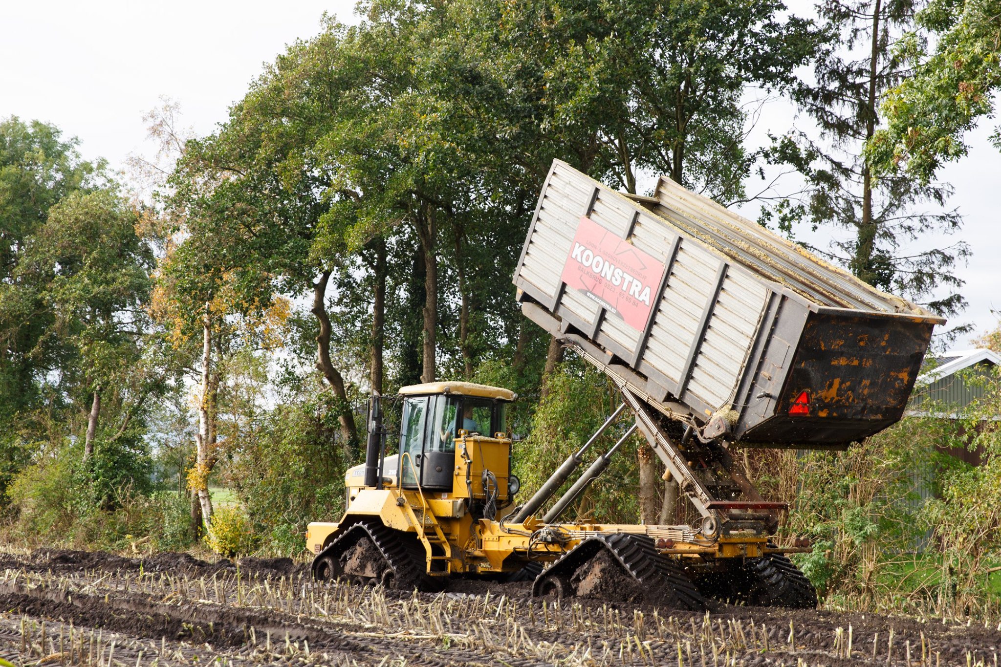 Maishakselen op rups