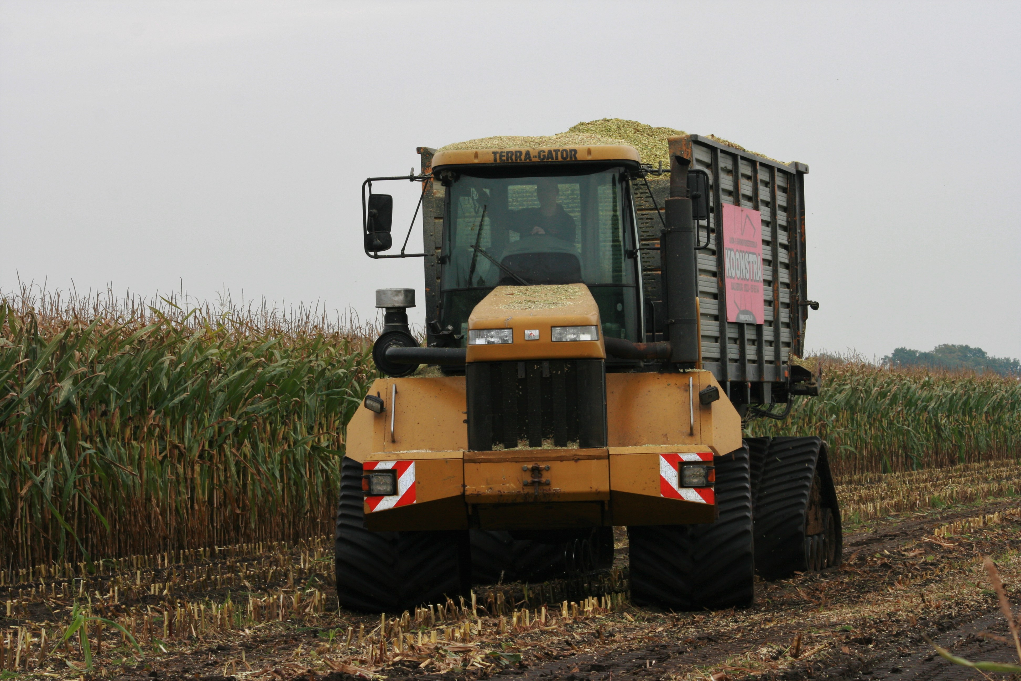 Maishakselen op rupsen in combinatie met onze rups Terra gator.