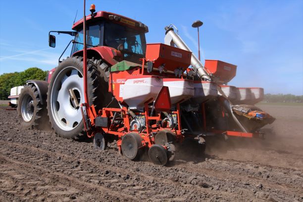 Maiszaaien met Gaspardo 6-rijer