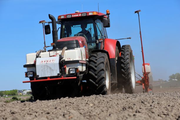 Maiszaaien met Gaspardo 6-rijer