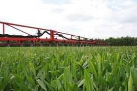 Mais schimmelbestrijding 