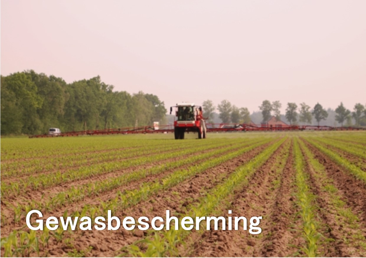 gewasbescherming uitvoeren 