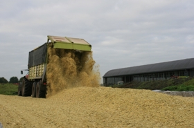 Maisbult aanrijden met Holaras