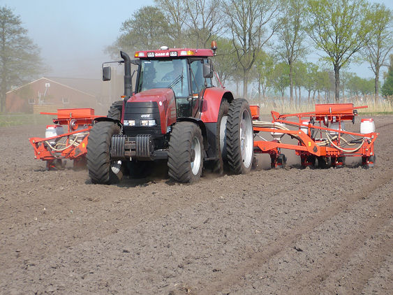 Maiszaaien met Gaspardo 12-rijer
