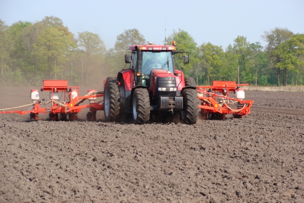 Maiszaaien met Gaspardo 12-rijer