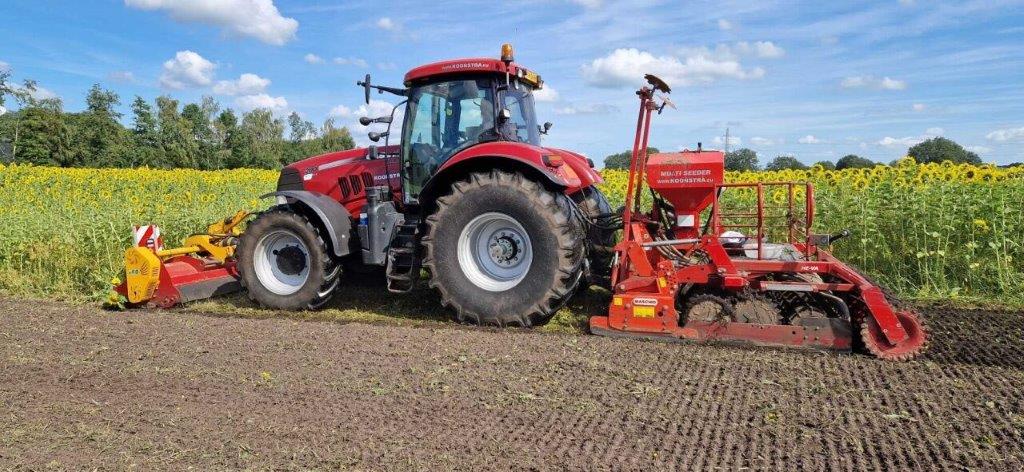 Koonstra Koolzaad en zonnebloem (vanggewas/tussengewas) versnipperen en verwerken in de toplaag