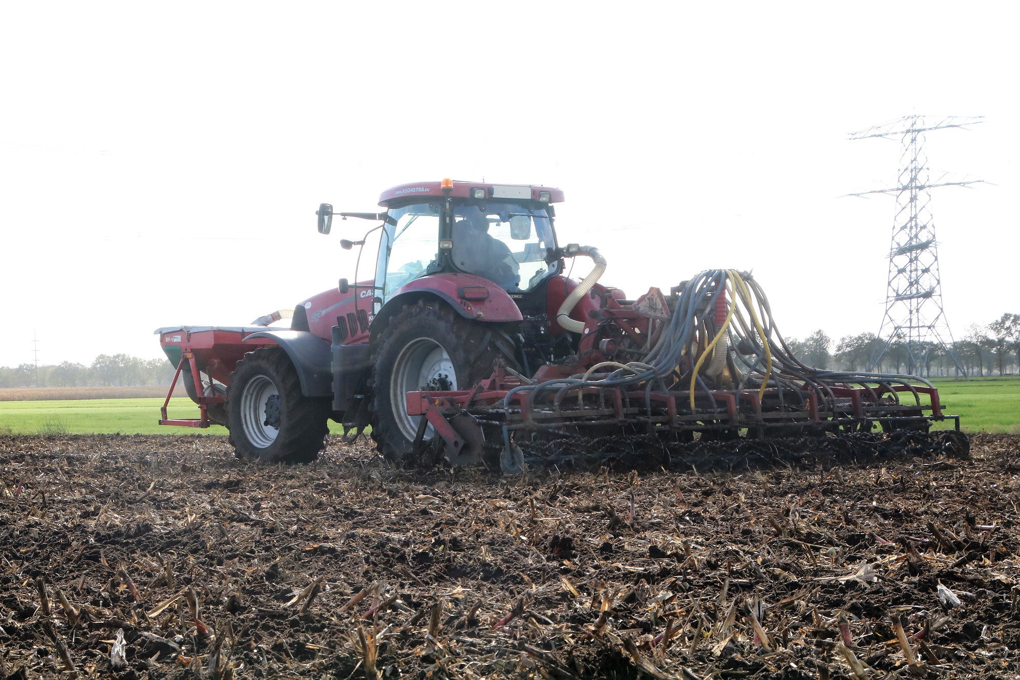 Koonstra vanggewas zaaien na de oogst