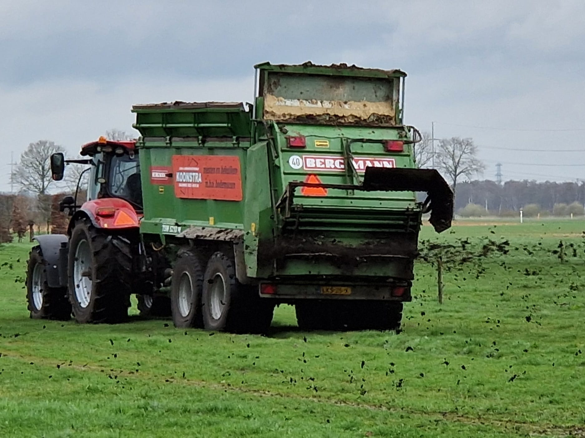 Meststrooien met de Bergmann meststrooier