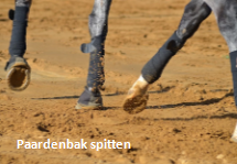 paardenbakspitten