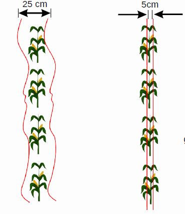 Koonstra traditioneel en camera gestuurd schoffelen
