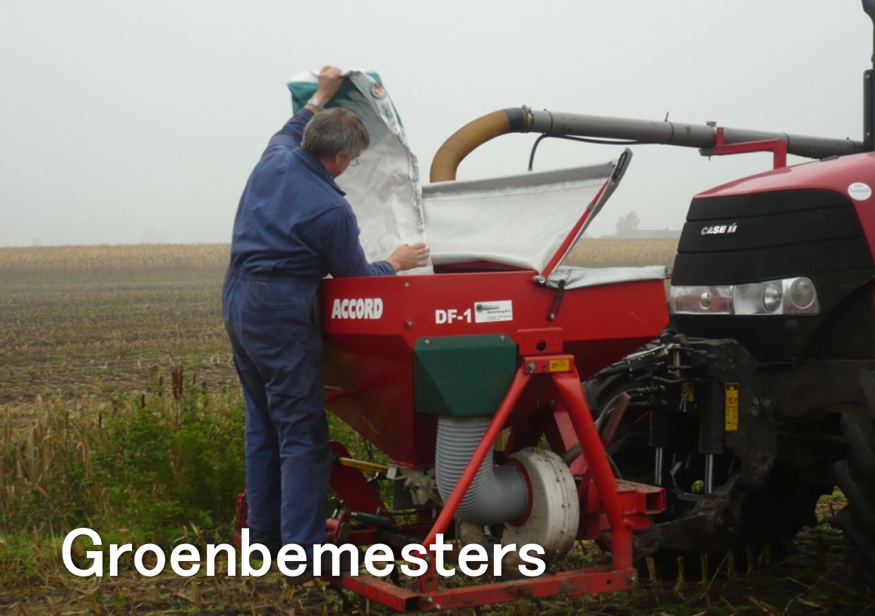 groenbemesters