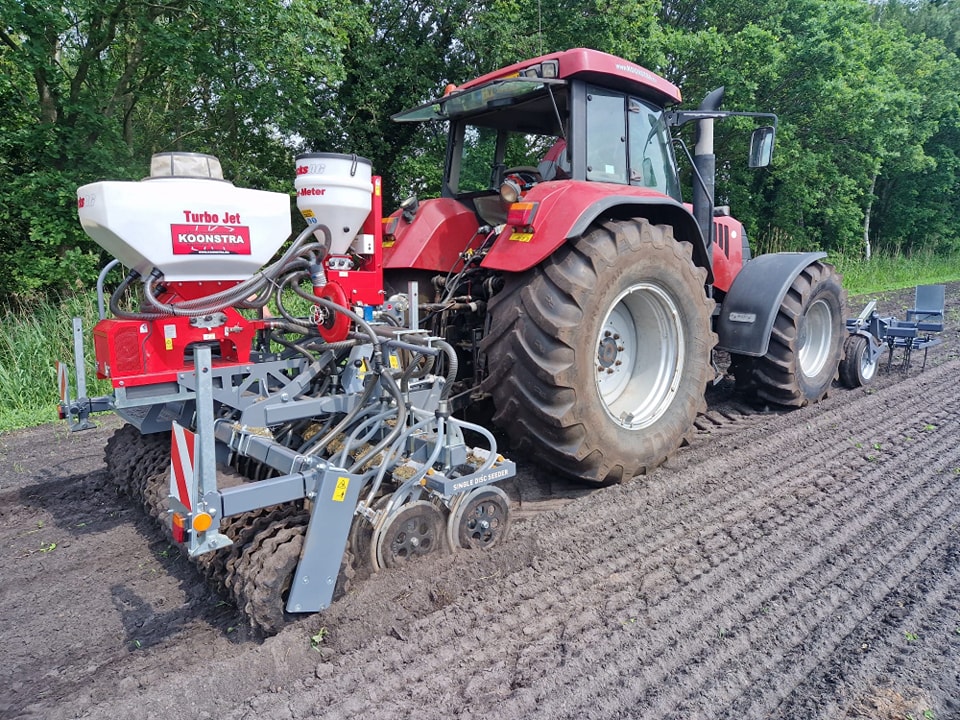 Gisteren hebben wij Tagetes (afrikaantjes) gezaaid 
