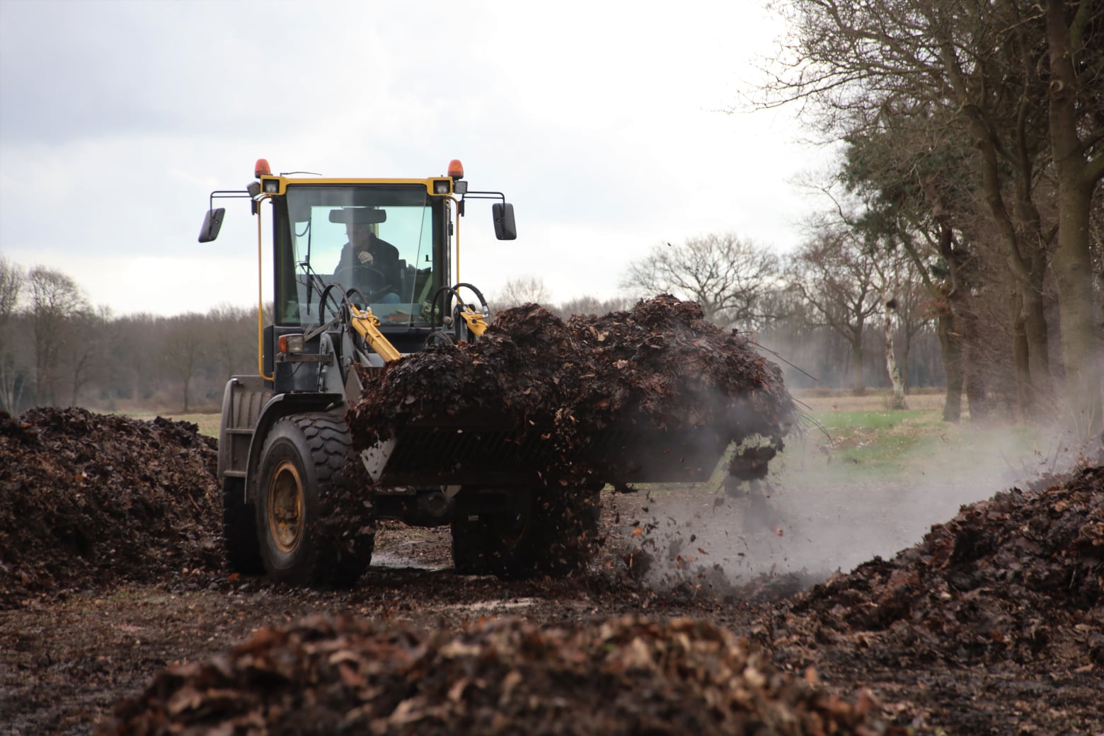 In de herfst zijn de afgevallen bladeren