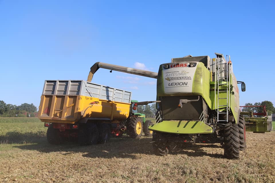 Combine graan dorsen