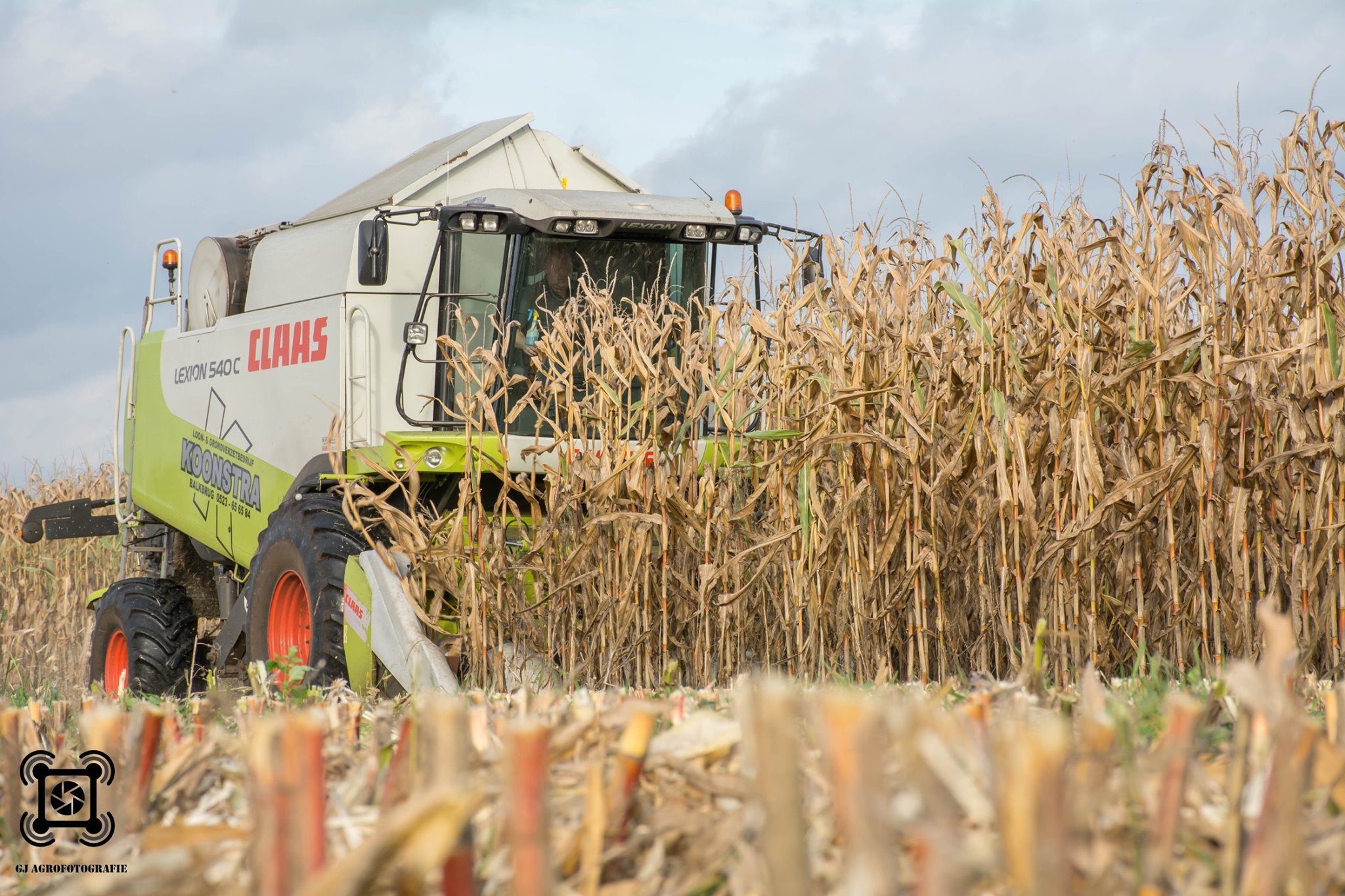 Combinen maisdorsen en pletten en inslurven megabagging