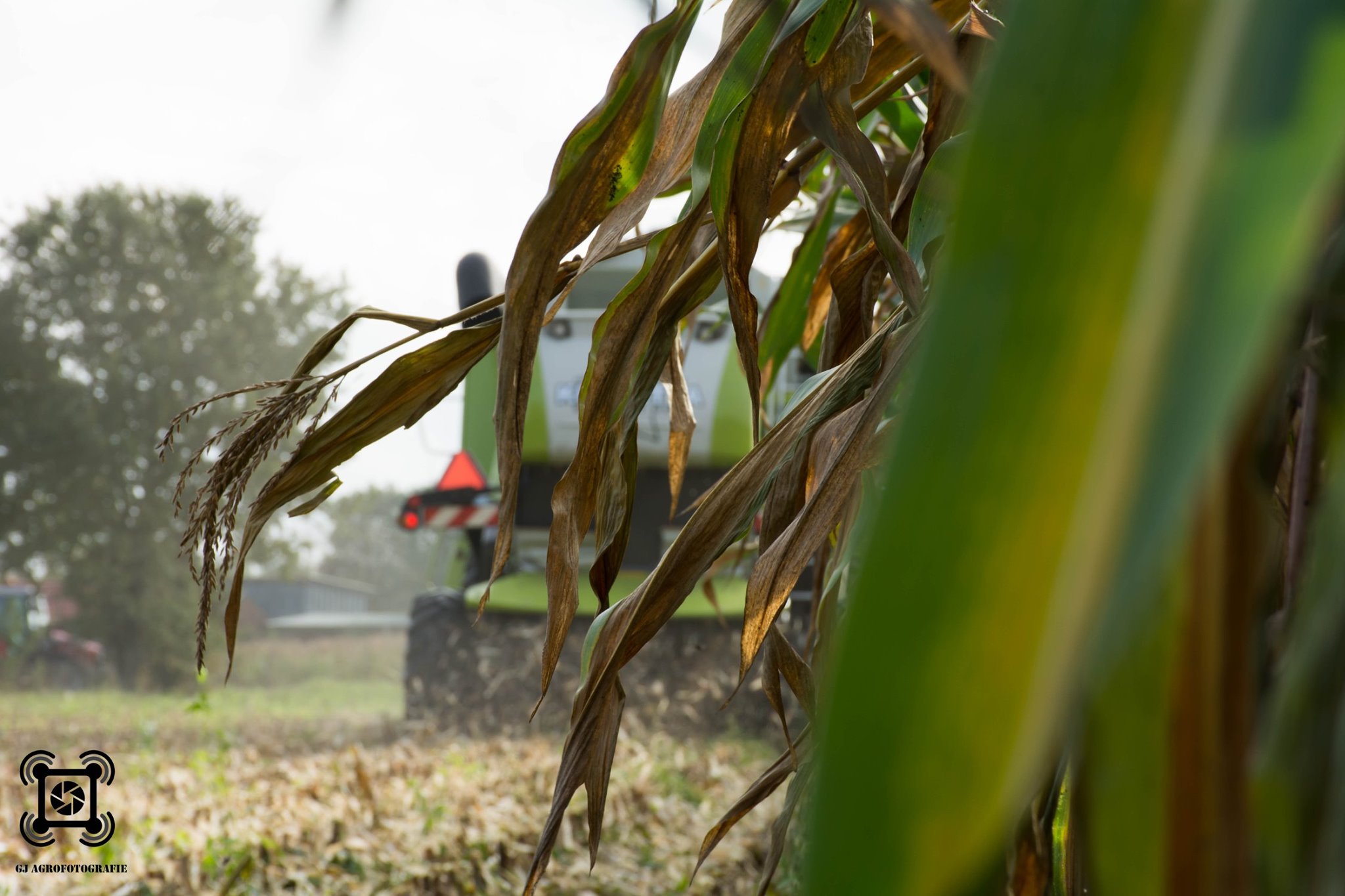 Combinen maisdorsen en pletten en inslurven megabagging