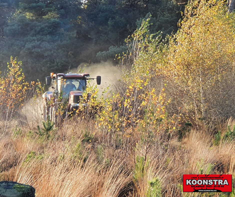 Landschap Overijssel, Noest bosbouw, Bodem in balans brengen, dologran strooien