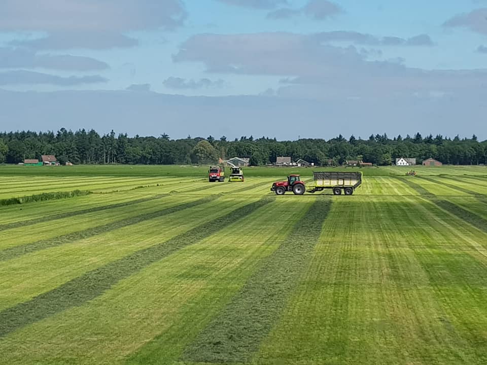 Grashakselen grasoogst