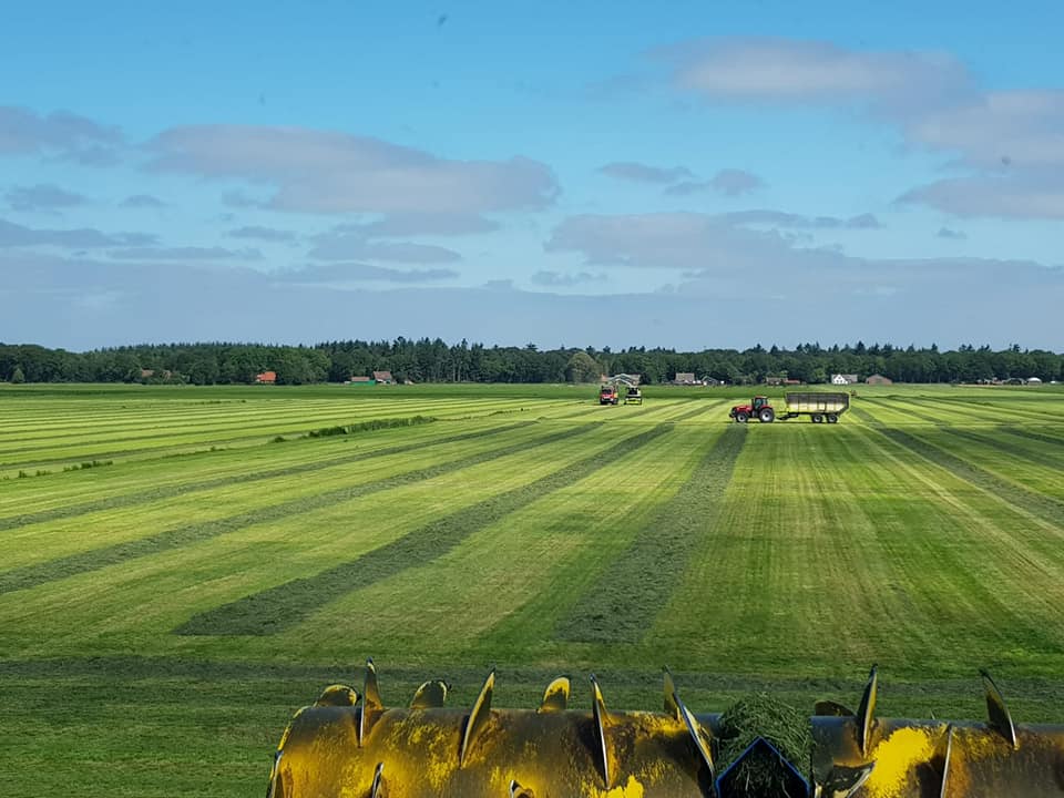 grasoogst grashakselen