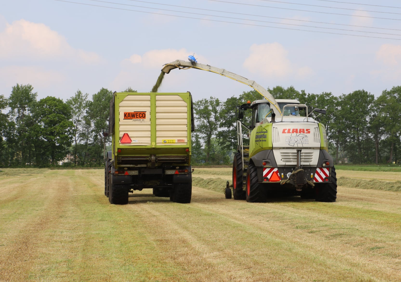 Grashakselen Koonstra