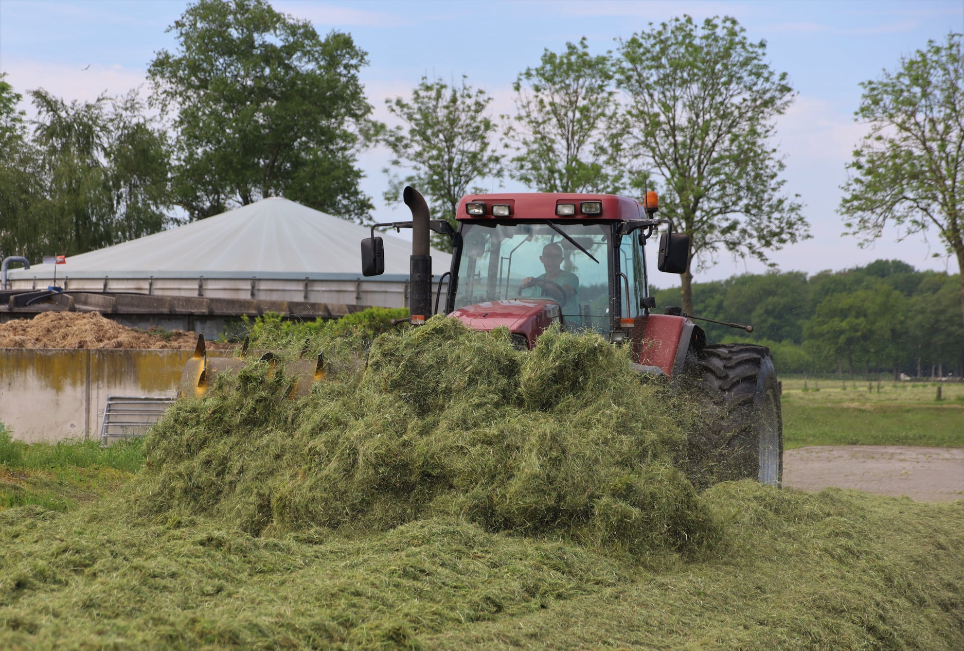 Grasoogst Koonstra inkuilen snijwagens