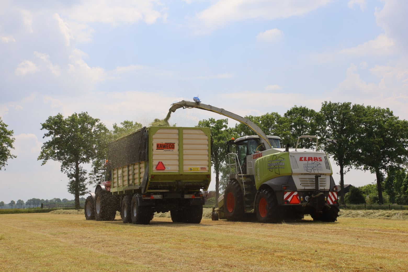 Grashakselen Koonstra