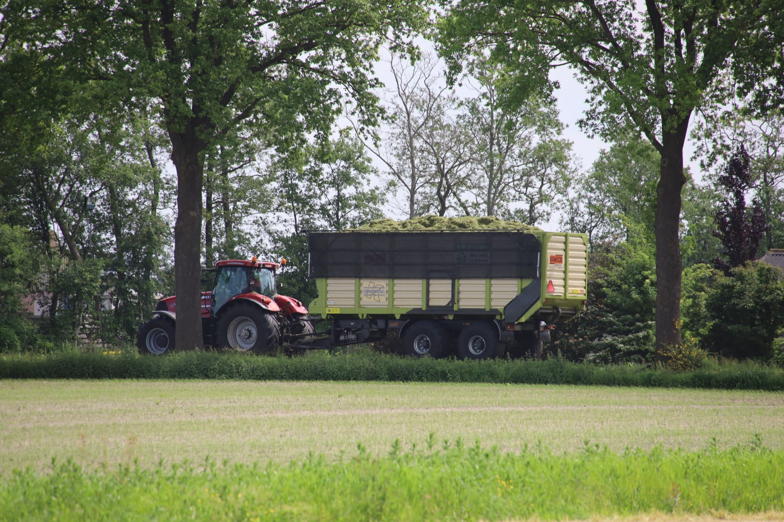 Grashakselen Koonstra